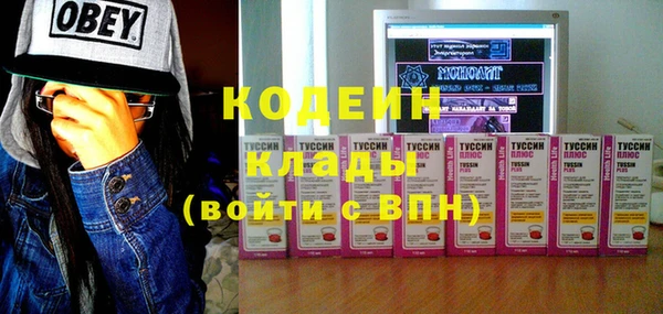 прущие грибы Балахна