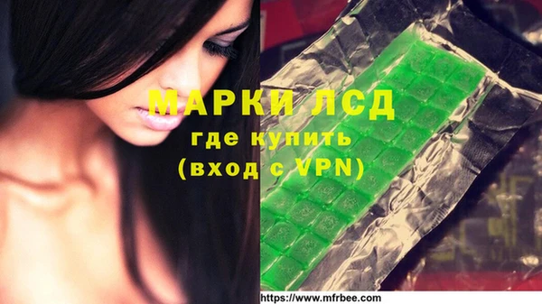 прущие грибы Балахна