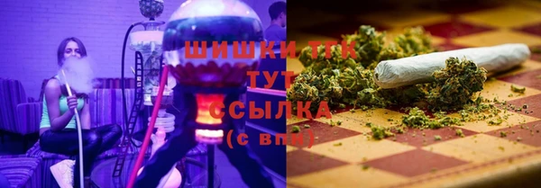 прущие грибы Балахна