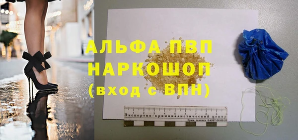 прущие грибы Балахна