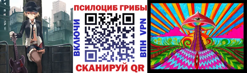 Псилоцибиновые грибы Cubensis  Купить  Боровск 